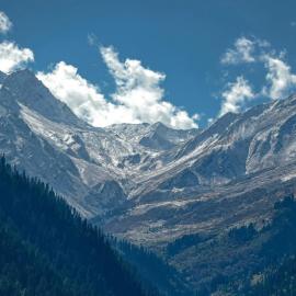 Aashray Cottage Manali, hôtel à Manali