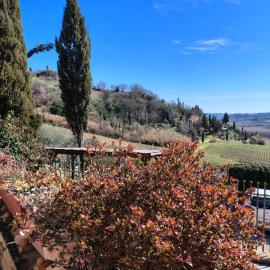 La Casina di Ancicucco 1
