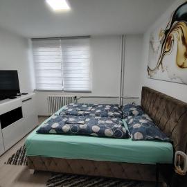 Apartman Pavlica