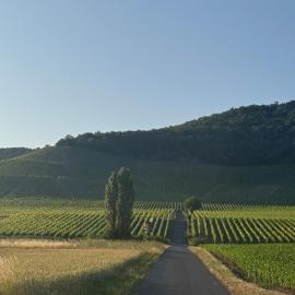Horizont 360