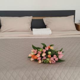 Comfort House Партизанська 25
