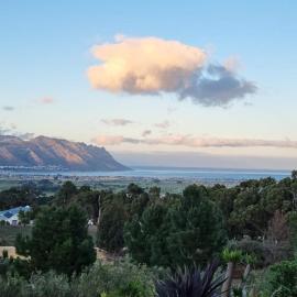13 Olives, Entire Grape & Olive Estate, Somerset West by Euphoric Leisure