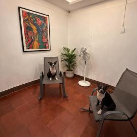 Casa OC Granada Pet friendly with AC