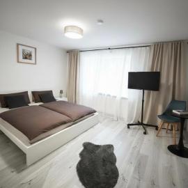 MUEL Apartment 1OG - Schweizer Grenze