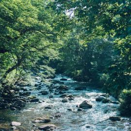 助七 -Sukeshichi- 山里の静かな暮らしを味わう古民家一棟貸