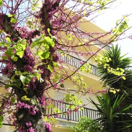 Popy Apartments, khách sạn ở Ierápetra