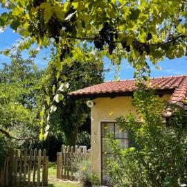 Casa de Vilar de Rei, a tranquilidade do mundo rural