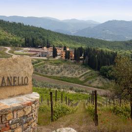 Agriturismo Panzanello، فندق في بانسانو