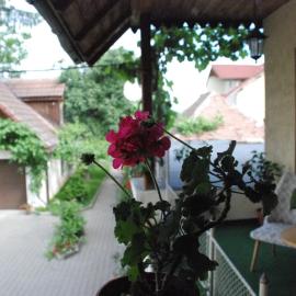 Saxon house&garden - half villa