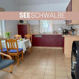Seeschwalbe