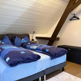 Apartment in Düdingen