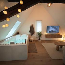 Slow Suite & Spa Erstein, hotel v destinácii Erstein