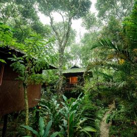 Monsoon Retreats by DAAN, hotell sihtkohas Thekkady