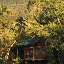 Cabaña El Chocho