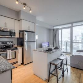 1BR plues Den City-View Condo Near Scotiabank & Union