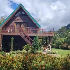 Bajos del Toro Paradise House, hotel in Bajos del Toro