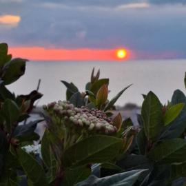 Sea-Nature-Wellness