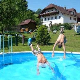 Ferienhof Pfaffenlehen, Hotel in Maria Neustift