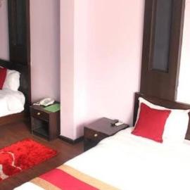 The Green Plaza Lodge, hôtel à Dhangarhi