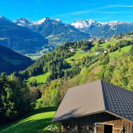 Chalet Emely