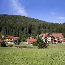 바이어스브론에 위치한 호텔 Landhaus Mühlengrund
