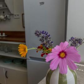 Apartmá se zahrádkou, Hotel in Libkov