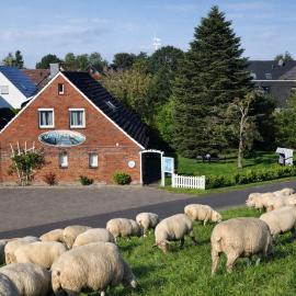 Baltrum