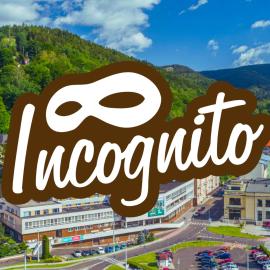 Hotel Incognito, khách sạn ở Jáchymov