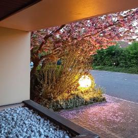 2 Soundproof Fully Equipped Studios near Geneva Airport, hotel a Ferney-Voltaire