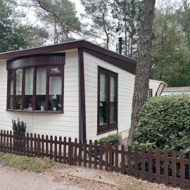 Viooltje in het bos I Knus chalet op de Veluwe