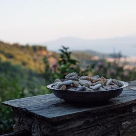 Secluded cottage guesthouse in the mountains, hotel a Makrinítsa