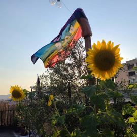 Roof Top Hostel, hotel in Tirana