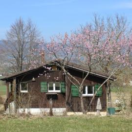 Holiday Home Chalet - Le Champ des Perches- - Berlincourt by Interhome, хотел в Glovelier