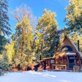 Wildland Zen Den Tiny House Retreat with Fireplace Grill AC Hammock Record Player Musical Instruments Pets OK, готель у місті Айділлвайлд