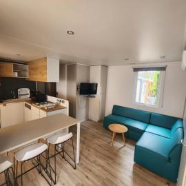 Mobilhome dans les pins - Camping Les Oyats، فندق في سانيوس