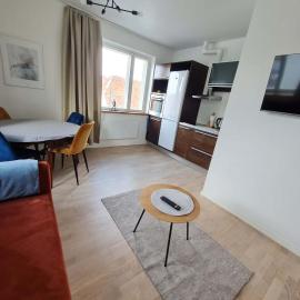 Kuressaare kesklinn, Turu Apartment