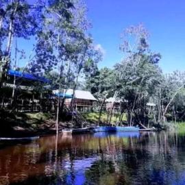 Amazon Bromelia Lodge, מלון באיקיטוס