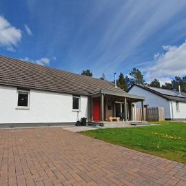 Delmhor No4