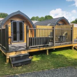 Oak Uk44264