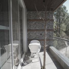Pine Needles kasauli