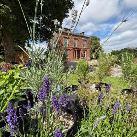Wigtown House, hotel sa Wigtown