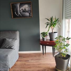 Petite maison avec cour privative