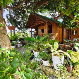 Traditional Native Bamboo Bungalow, hotell i Moalboal