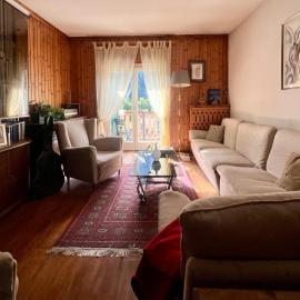 Ceda Ladina, hotel in Santo Stefano di Cadore