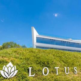 Hotel Lotus, viešbutis Varnoje