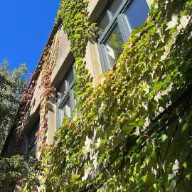 Alte Büdnerei - "Gartenappartement"