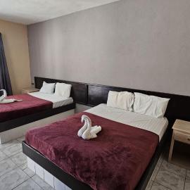 Hotel Ricardo's, hotel u gradu 'San Ignacio'