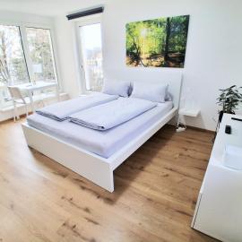 Top17 Apartmenthaus Sonnenschein, hotel v mestu Dornbirn