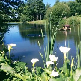 Gite 1 Arum, la Sapinière-24300-parc-3ha-piscine-étang-mini golf、Augignacのホテル