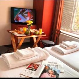 Soba na Bulevaru, hotel in Požarevac